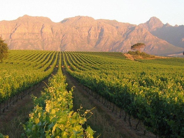 De Zalze Lodge