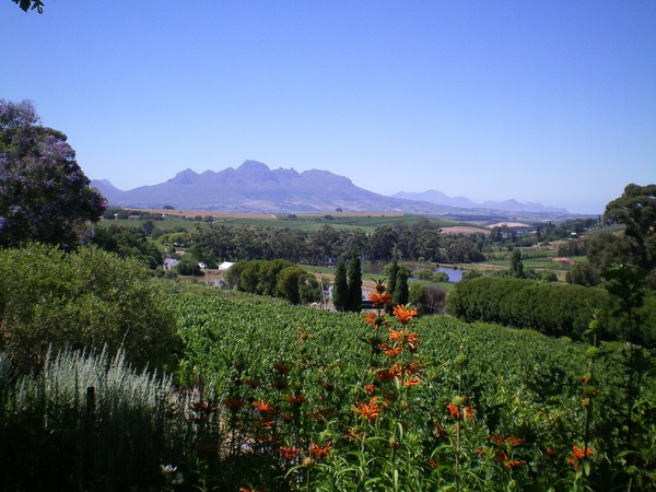 Devon Valley Hotel