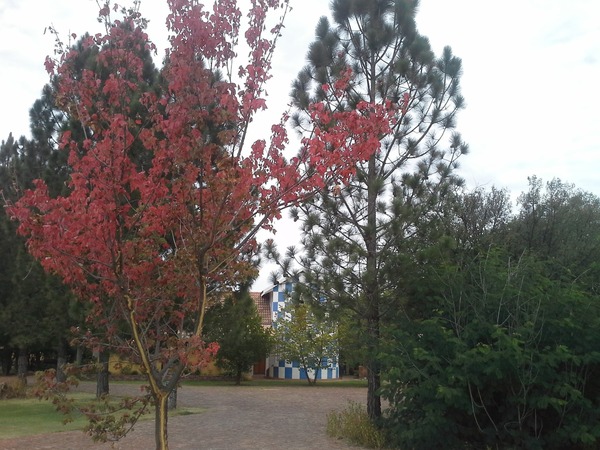 Lavender Hills Guest Farm - Main Image