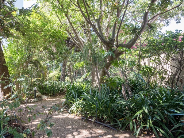 Singa Lodge